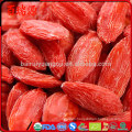 Cheap goji berry goji ningxia goji berry suitable for office man